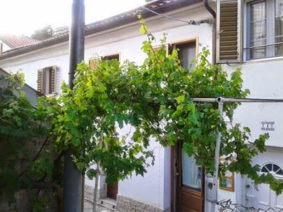 B&B Al Ferdinandeo Trieste Bagian luar foto